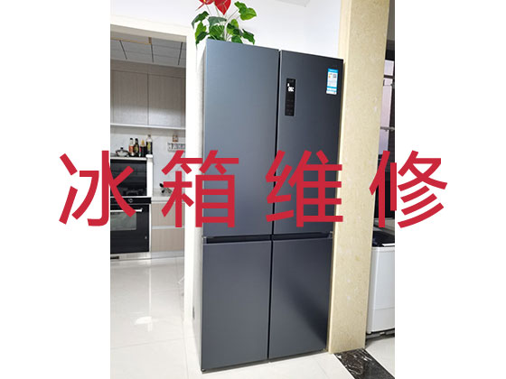 上海冰箱冰柜维修公司